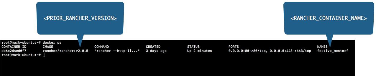 Placeholder Reference